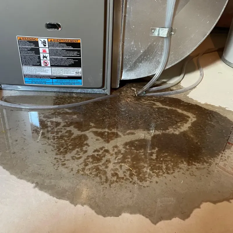 Appliance Leak Cleanup in Weirton, WV
