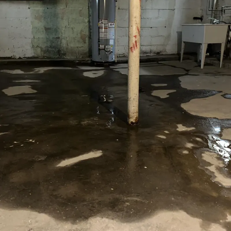 Emergency Water Extraction And Removal in Weirton, WV